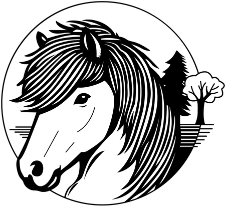 Logo des Islandpferdehofs Söhrewald